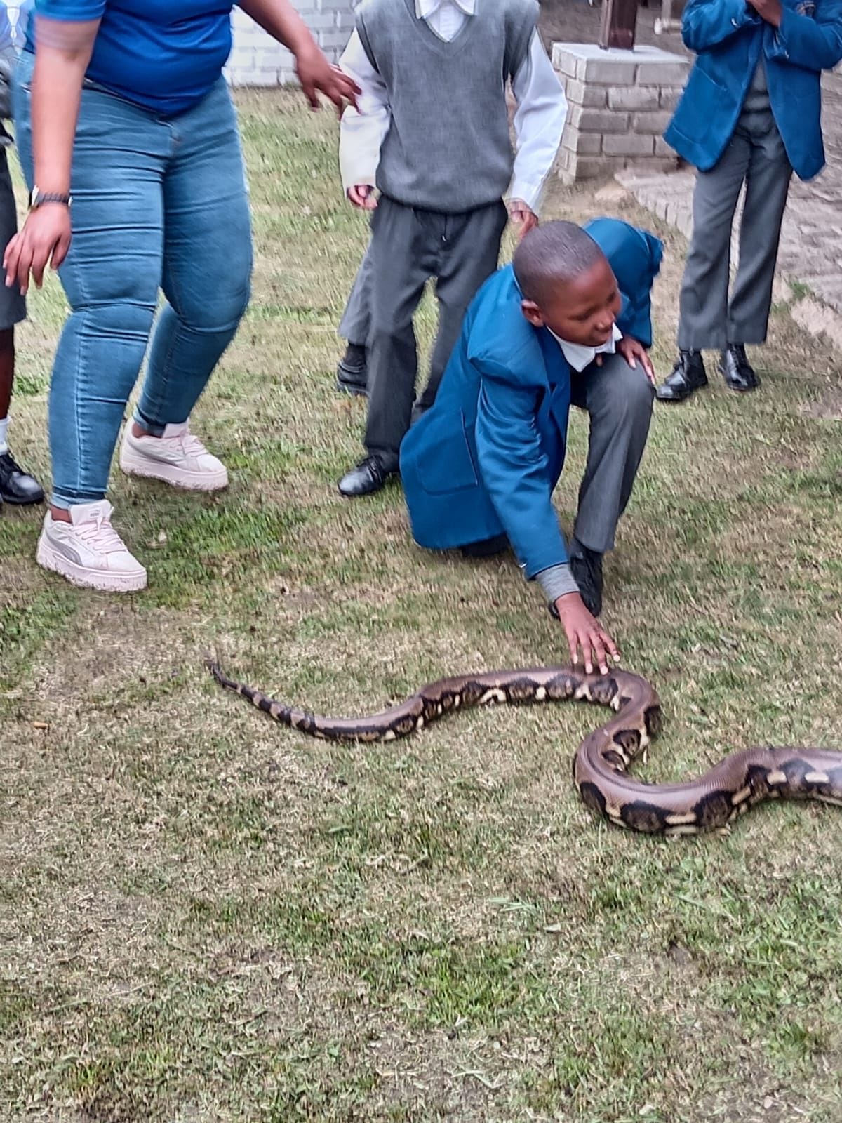Venom Pit Excursion — Meeting the Python